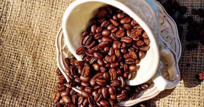 kafa