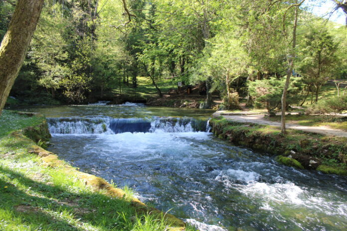 Vrelo Bosne