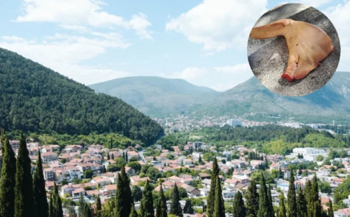 svinjska glava