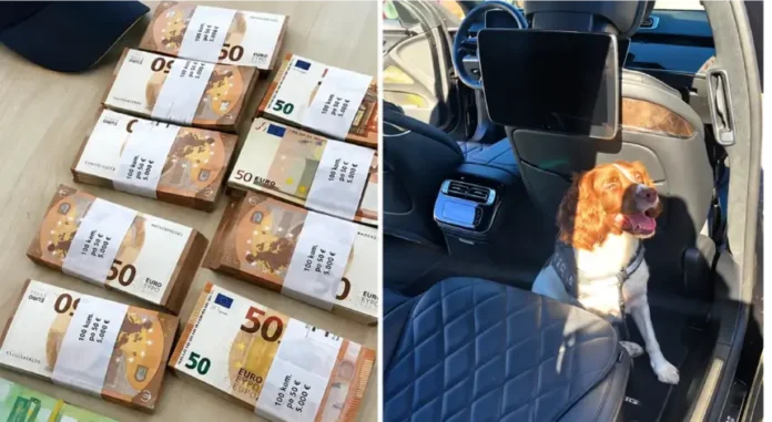 Pas pronosao novac